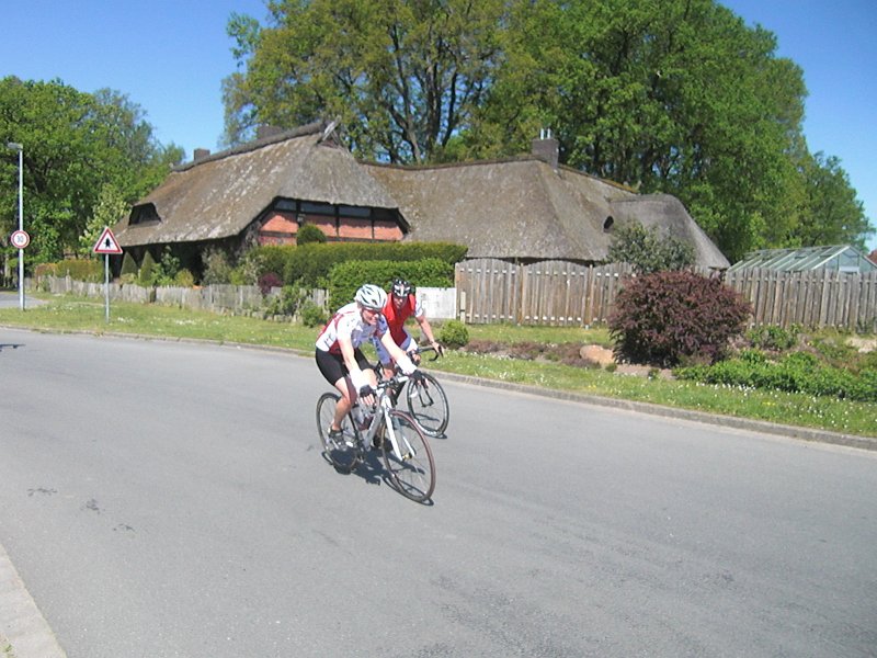 RTF Celle Rocky 81